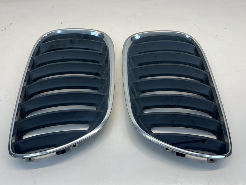2006 BMW X5 E53 - Bumper Grille