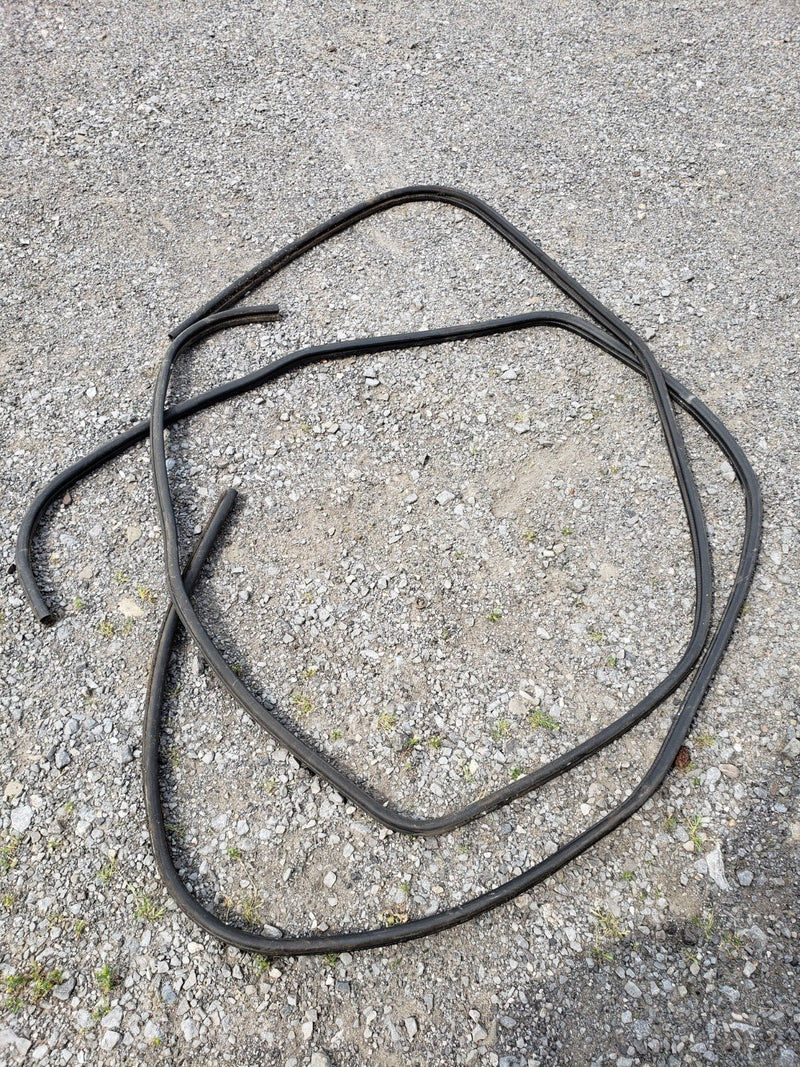 1996-1999 Chevy GMC GM 1500 C/K Door Seal Pair Gaskets Regular Cab OEM #1227CN