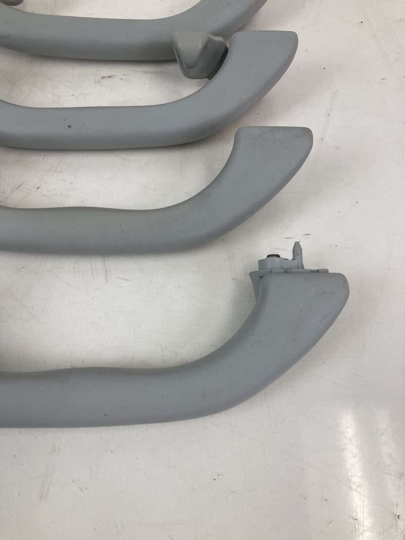 2001-2005 Volkswagen Passat Grab Handle Set Gray LH RH OEM #5500M