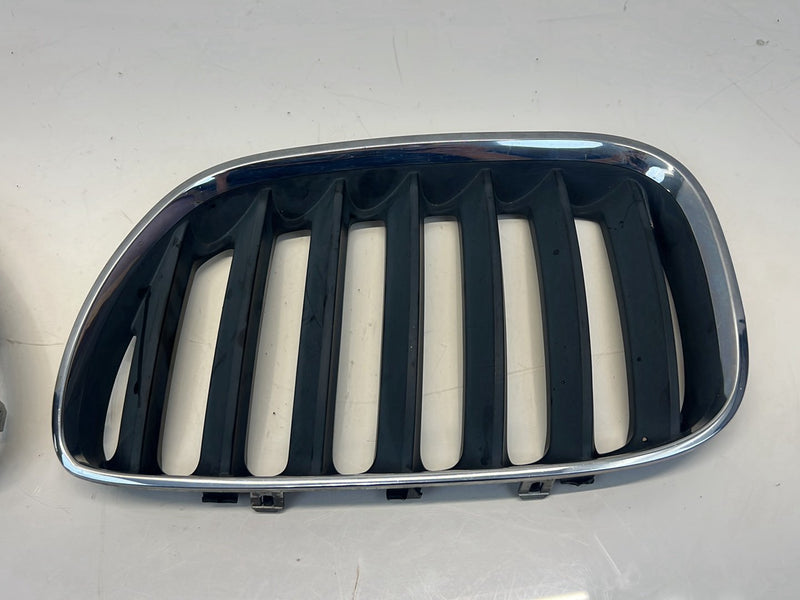 2006 BMW X5 E53 - Bumper Grille