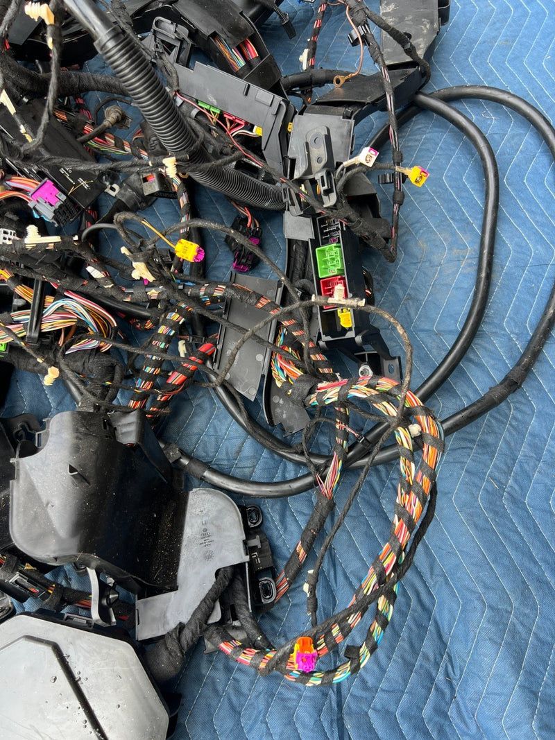 2005-2011 Audi A6 Firewall to Tail Light Body Wiring Harness Assembly OE #3529EM