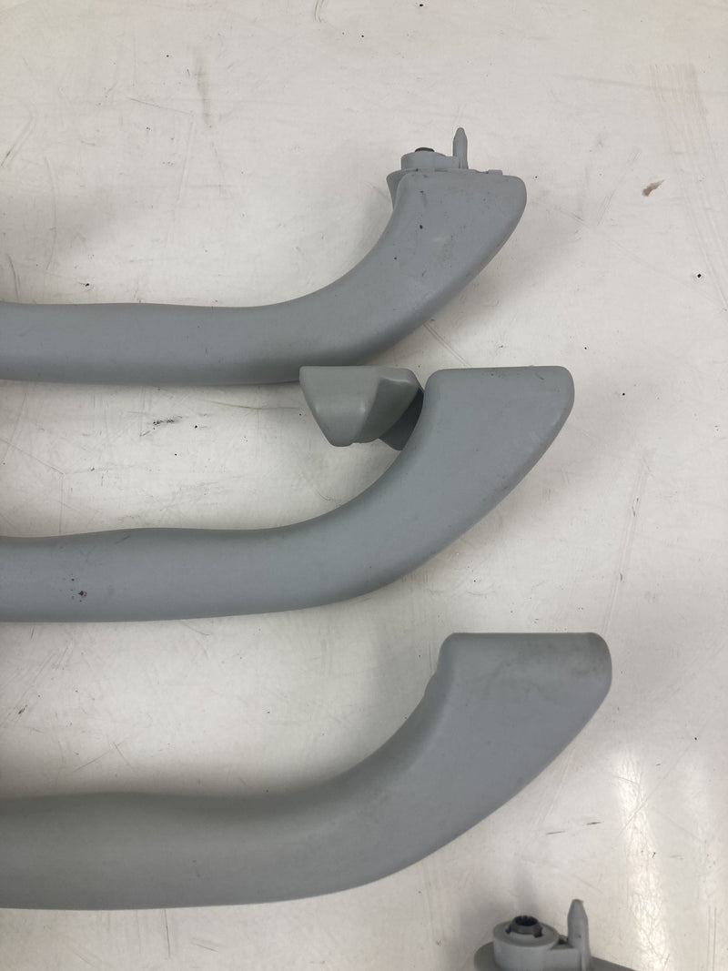 2001-2005 Volkswagen Passat Grab Handle Set Gray LH RH OEM #5500M