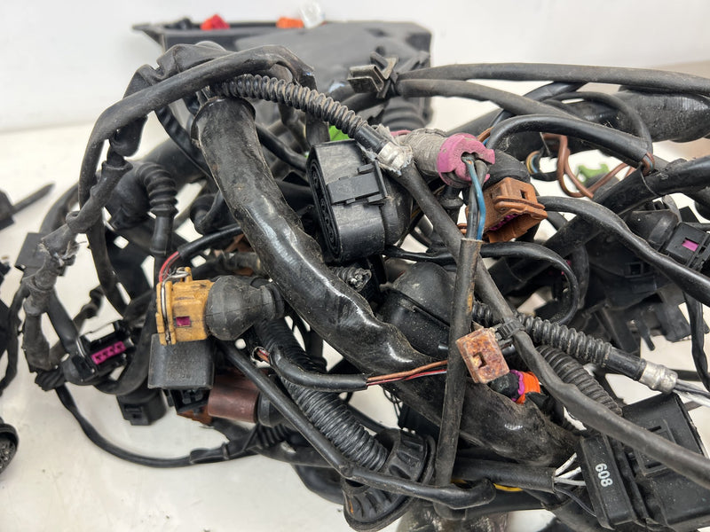 2003-2009 Audi S4 B6 B7 8E Engine Wiring Wire Harness 8E0907411 OEM #6808EM