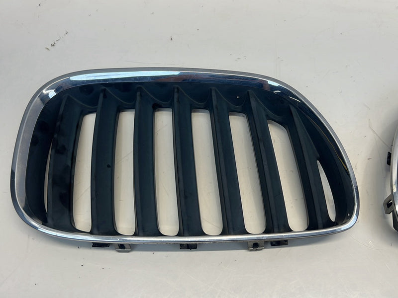 2006 BMW X5 E53 - Bumper Grille