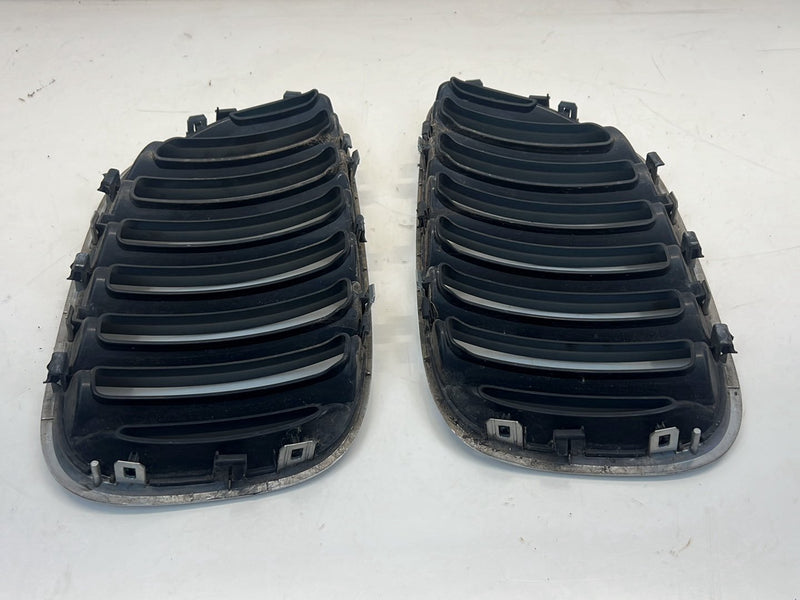 2006 BMW X5 E53 - Bumper Grille