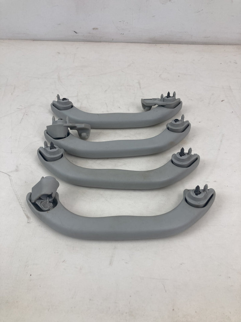 2001-2005 Volkswagen Passat Grab Handle Set Gray LH RH OEM #5500M