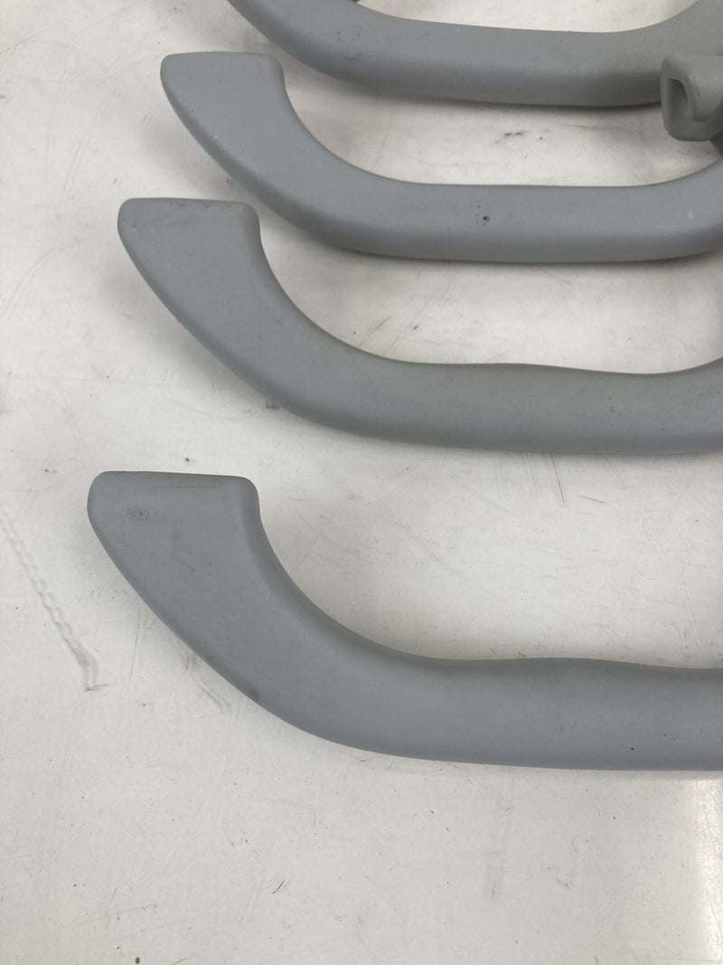 2001-2005 Volkswagen Passat Grab Handle Set Gray LH RH OEM #5500M