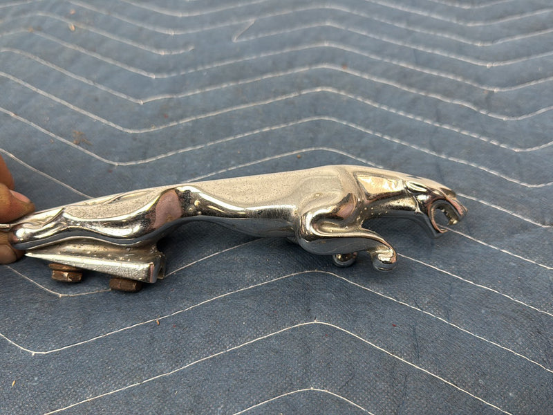 - Hood Ornament