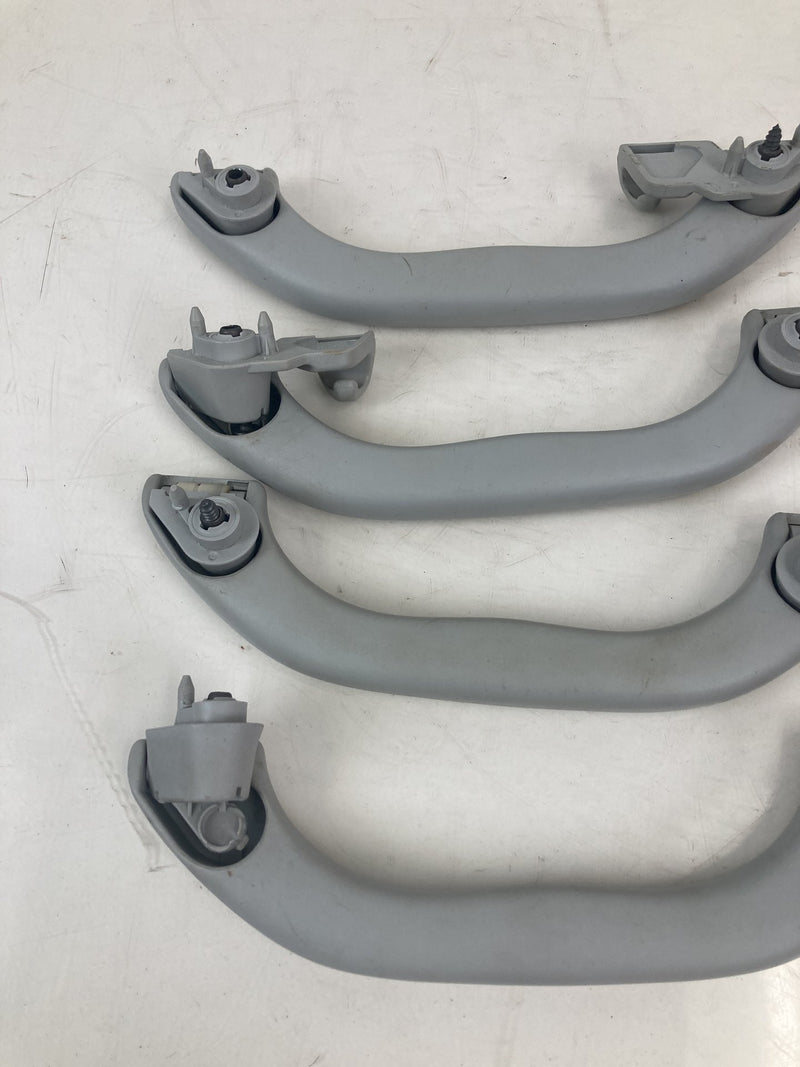 2001-2005 Volkswagen Passat Grab Handle Set Gray LH RH OEM #5500M