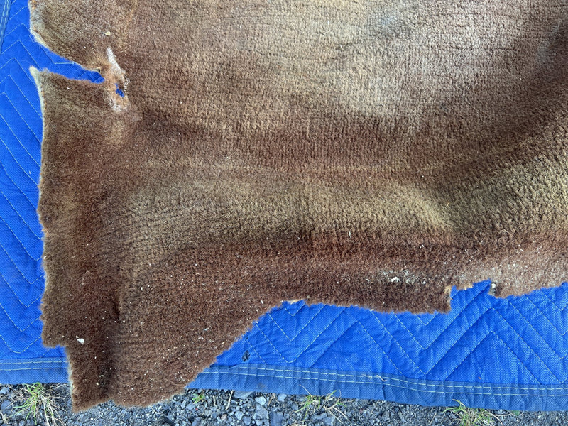 1967-1974 Volvo 140 142 Molded Carpet Full Set Brown OEM #5081EM