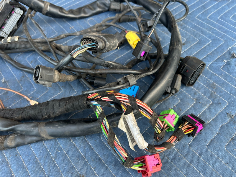 2005-2011 Audi A6 Engine Auto Range Control Light Wiring Harness OEM #3481EM