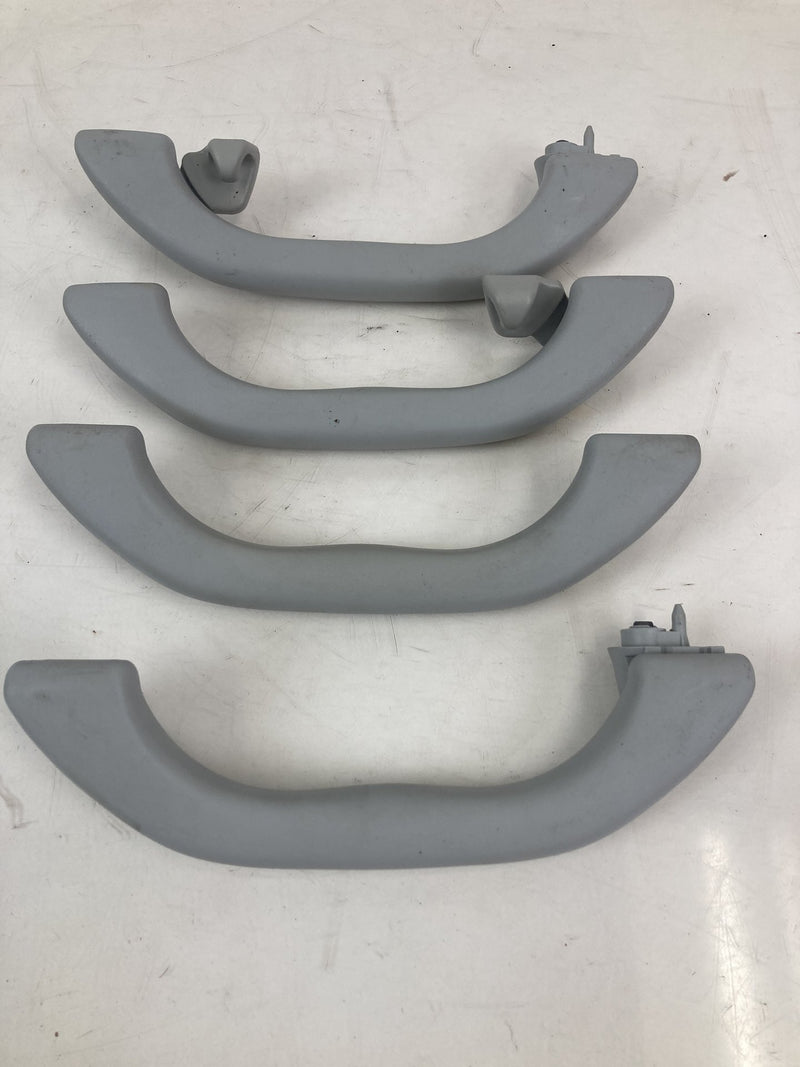 2001-2005 Volkswagen Passat Grab Handle Set Gray LH RH OEM #5500M