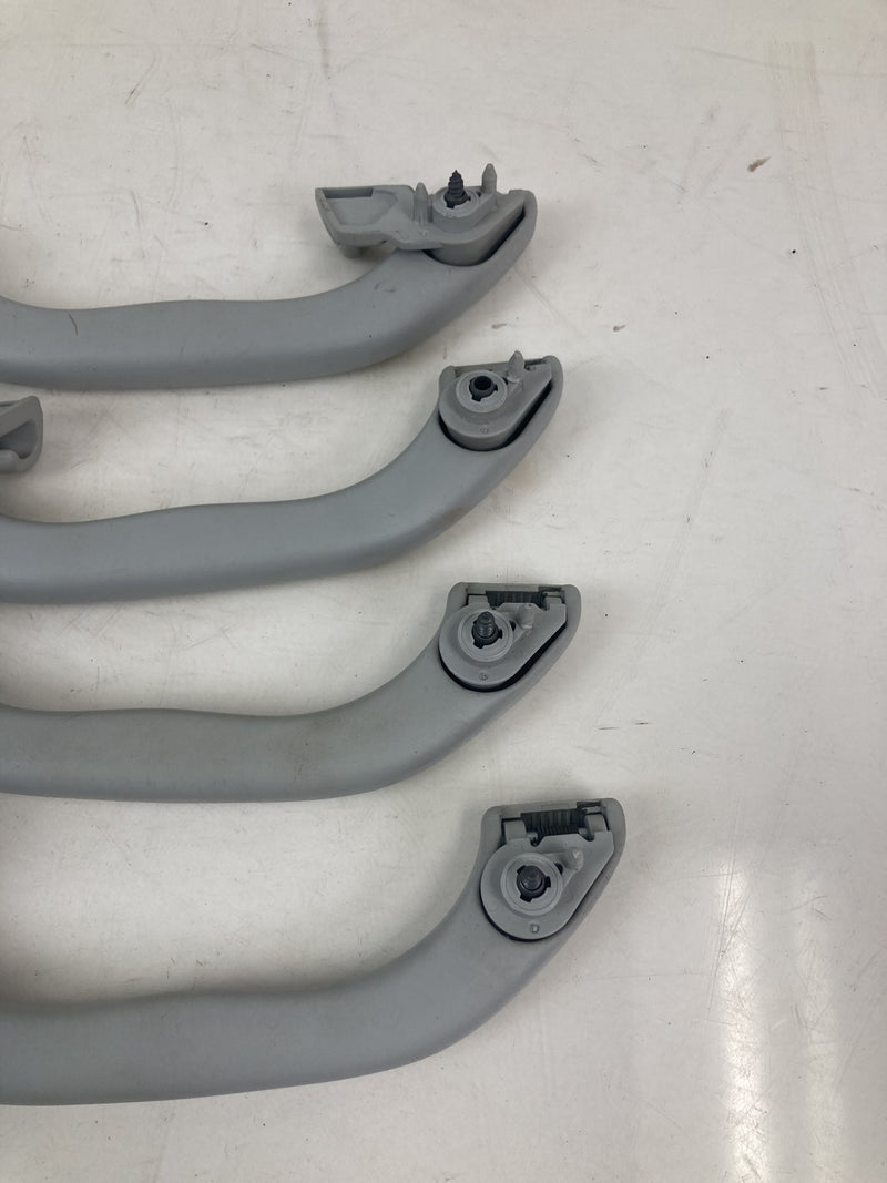 2001-2005 Volkswagen Passat Grab Handle Set Gray LH RH OEM #5500M