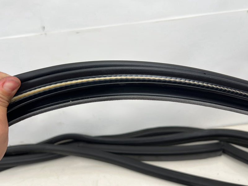 1996-2003 Audi S8 D2 A8 Door Seal Weatherstripping Gasket Set of 4 OEM #6587EM