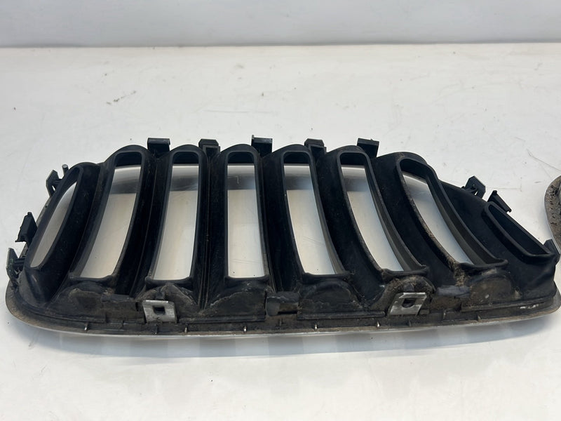 2006 BMW X5 E53 - Bumper Grille