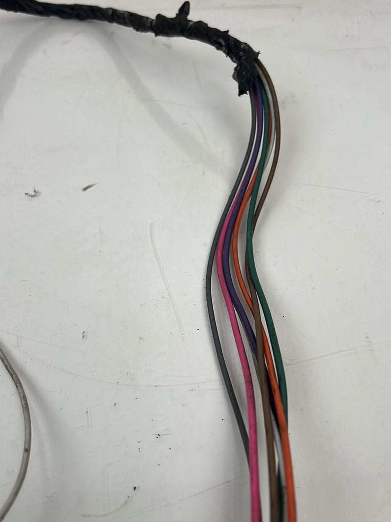1976-1979 Cadillac Seville Rear Driver Left Door Wiring Harness OEM #5599EM