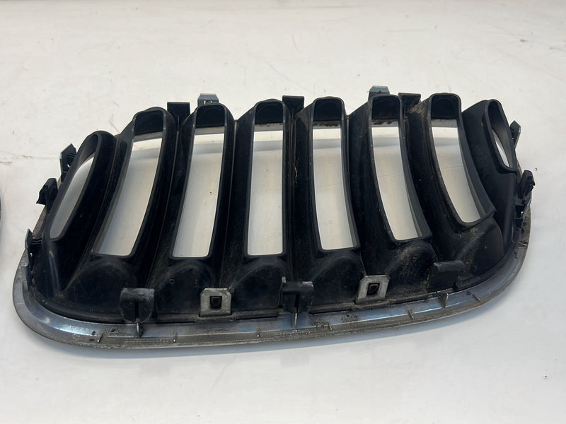 2006 BMW X5 E53 - Bumper Grille