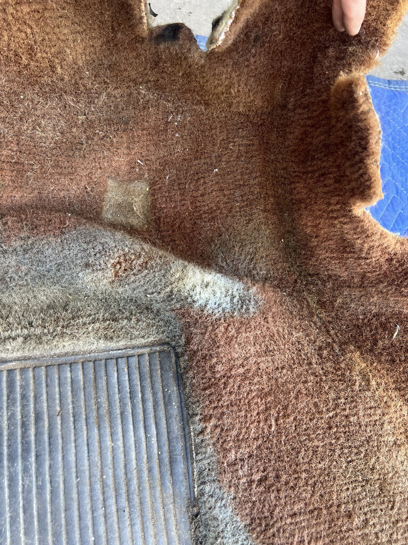 1967-1974 Volvo 140 142 Molded Carpet Full Set Brown OEM #5081EM