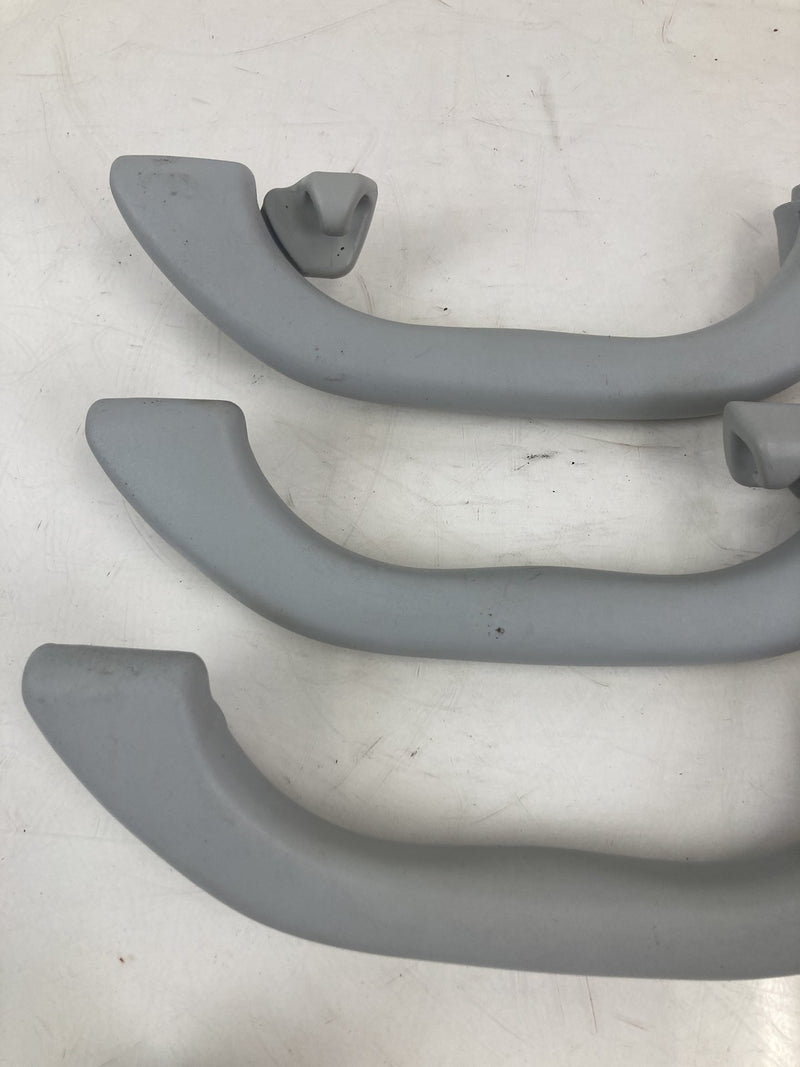 2001-2005 Volkswagen Passat Grab Handle Set Gray LH RH OEM #5500M