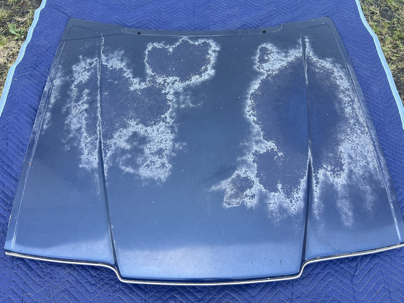 1975-1980 Volvo 244 Front Hood Panel Engine Bonnet Blue OEM #5435EM