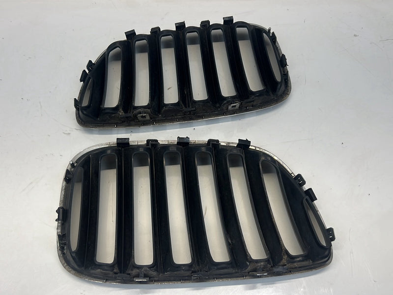 2006 BMW X5 E53 - Bumper Grille