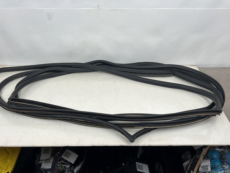 1996-2003 Audi S8 D2 A8 Door Seal Weatherstripping Gasket Set of 4 OEM #6587EM