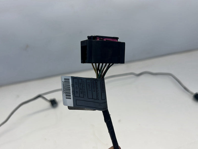 2006 BMW X5 E53 - Wiring Harness PN: 77369610 6960000 6959979