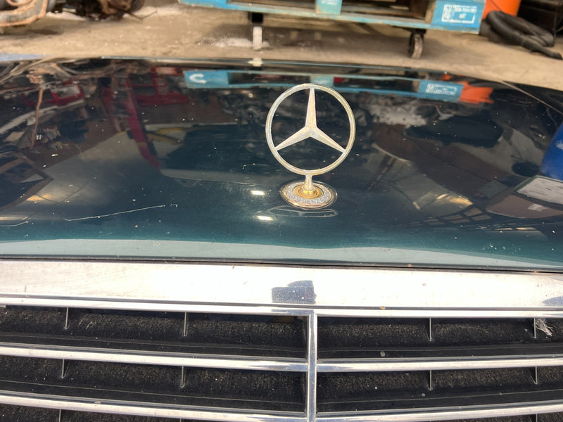 1998-2003 Mercedes W210 E320 Hood Panel Engine Bonnet w/ Grille Green OE #4741EM