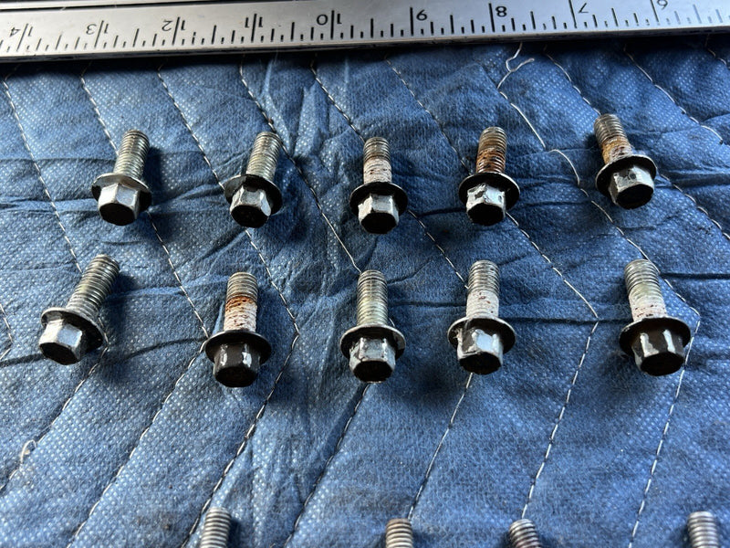 1998-2003 Jaguar XJR XJ8 X308 Door Hinge Bolt Set Hardware OEM #4722E