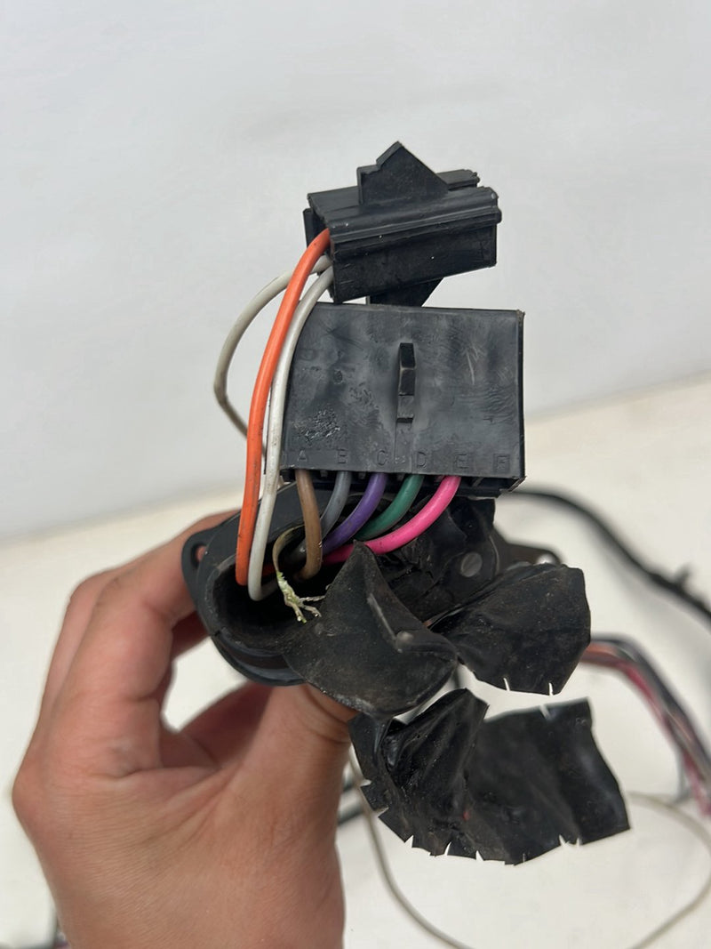 1976-1979 Cadillac Seville Rear Driver Left Door Wiring Harness OEM #5599EM