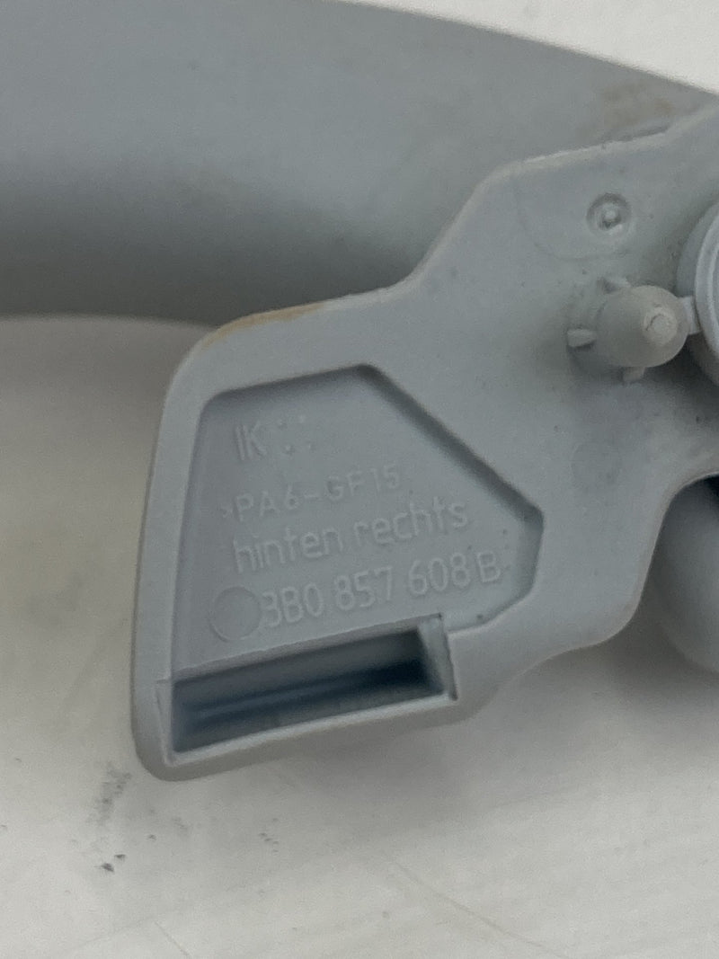 2001-2005 Volkswagen Passat Grab Handle Set Gray LH RH OEM #5500M