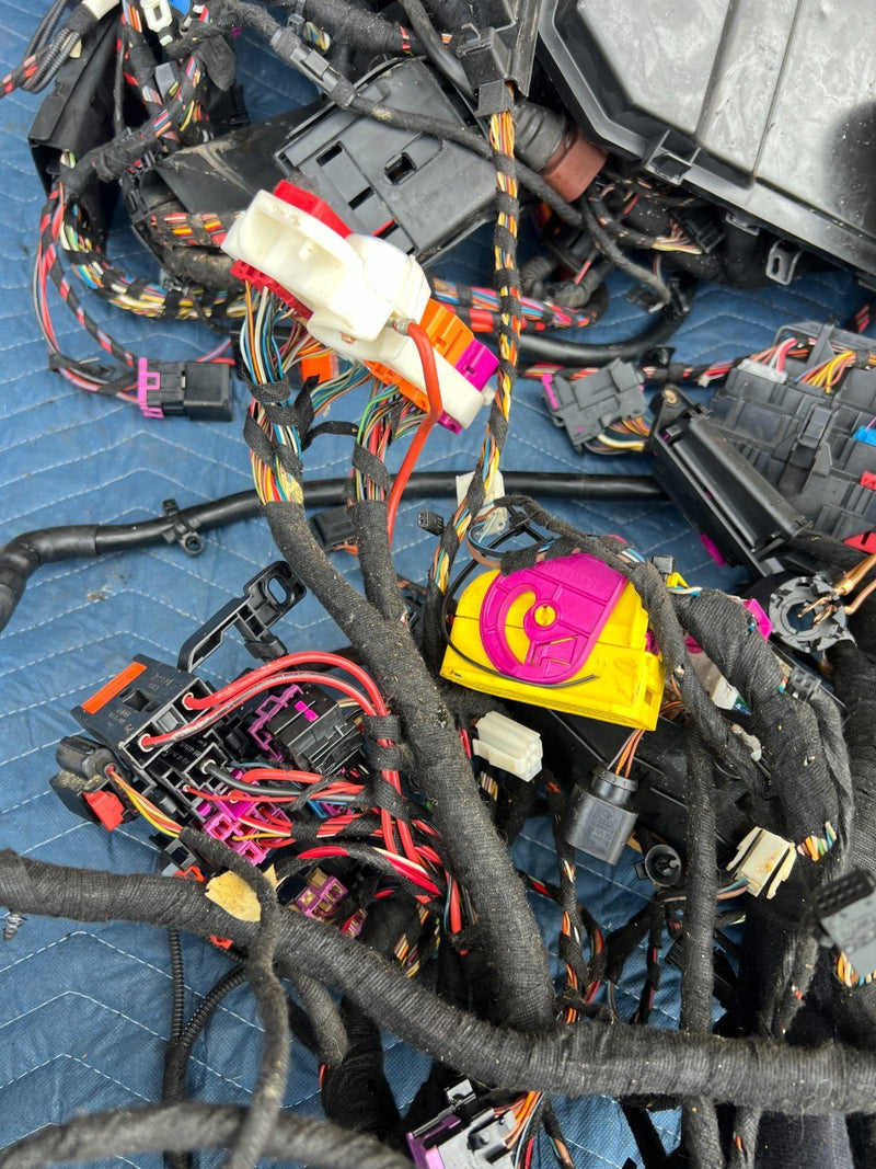2005-2011 Audi A6 Firewall to Tail Light Body Wiring Harness Assembly OE #3529EM