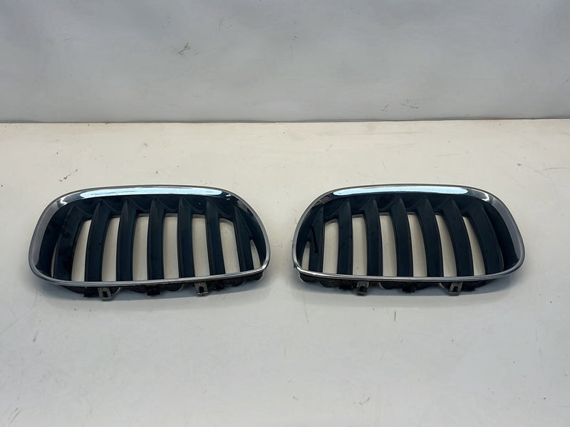 2006 BMW X5 E53 - Bumper Grille