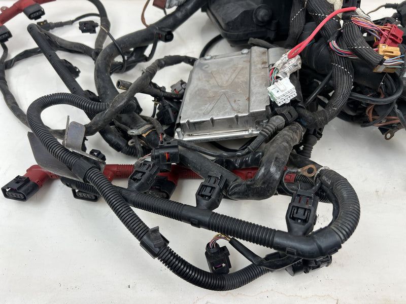 2003-2009 Audi S4 B6 B7 8E Engine Wiring Wire Harness 8E0907411 OEM #6808EM