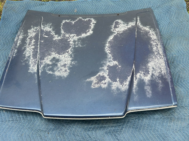 1975-1980 Volvo 244 240 Engine Bonnet Hood Panel Blue OEM #5435EM