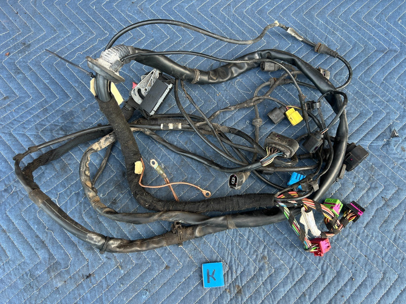 2005-2011 Audi A6 Engine Auto Range Control Light Wiring Harness OEM #3481EM