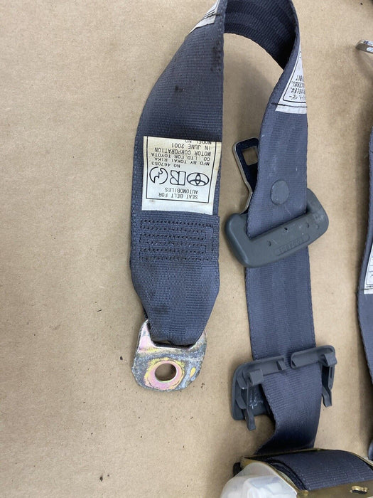 1997-2001 Lexus ES300 Set of 3 Rear Seat Belts Left Right Center OEM #2365E